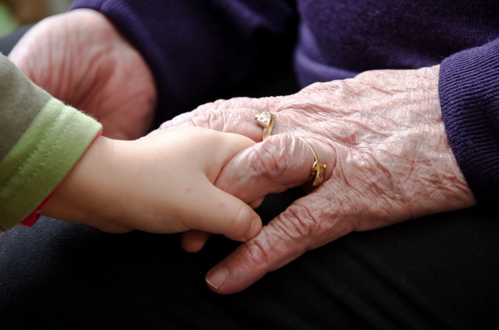 Child and elderly hands holding gently.